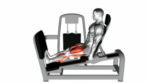 Lever Seated Squat Calf Raise on Leg Press Machine - Video Exercise Guide & Tips