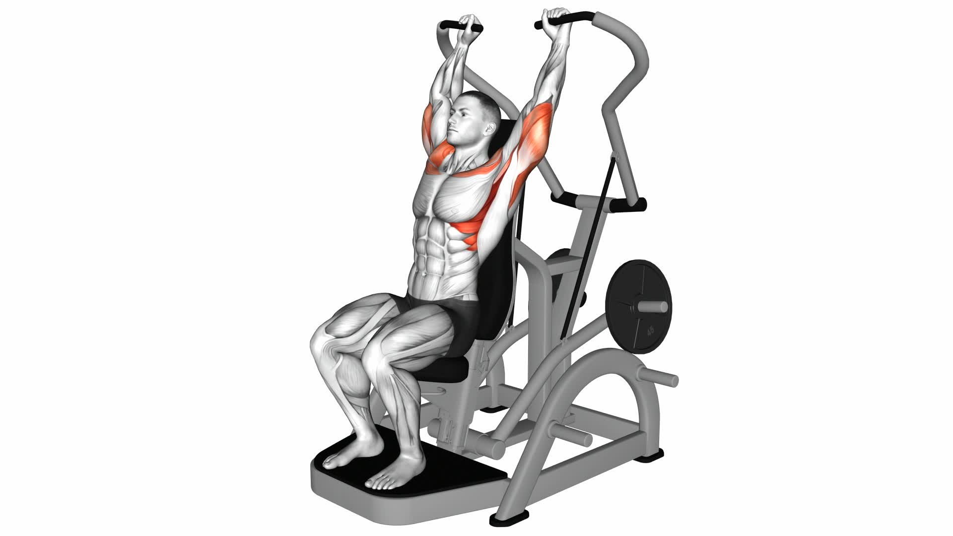 Lever Shoulder Press (Plate Loaded) Version 3 - Video Exercise Guide & Tips