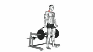 Lever Shrug (Plate Loaded) - Video Exercise Guide & Tips