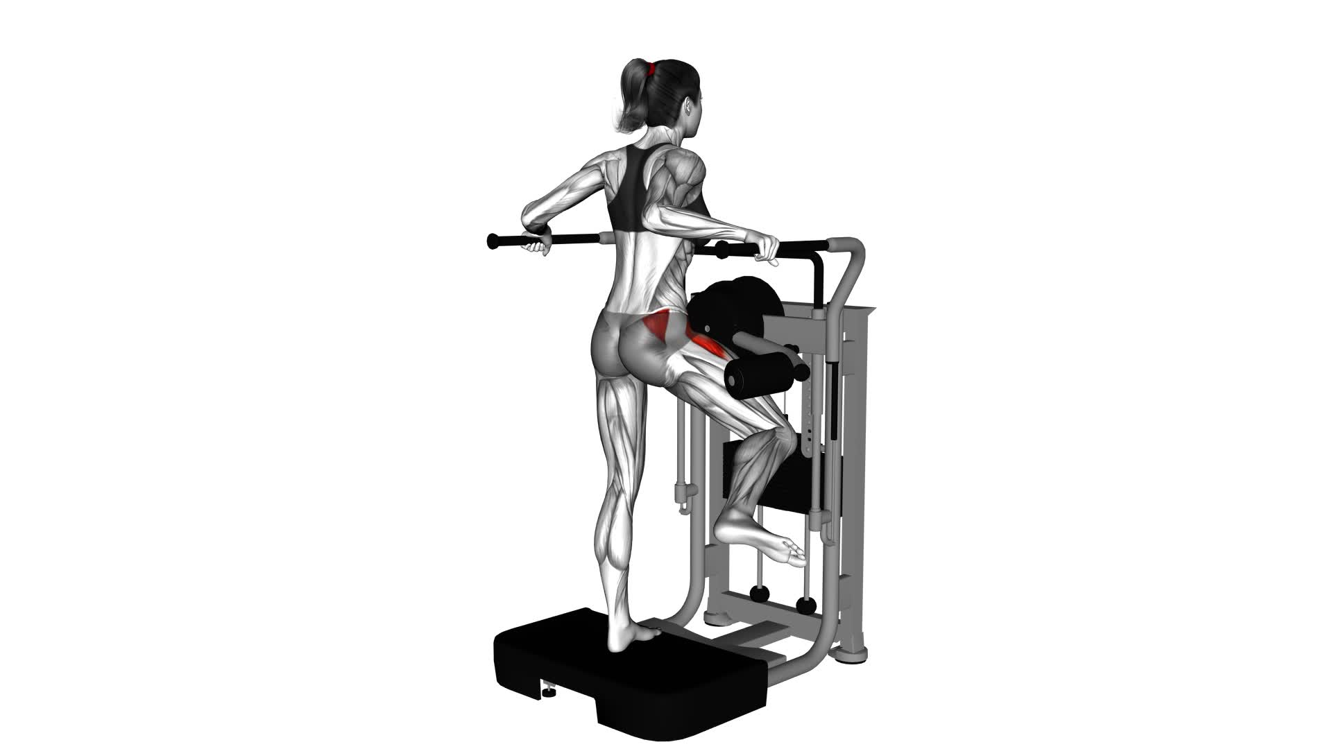 Lever Side Hip Abduction (female) - Video Exercise Guide & Tips