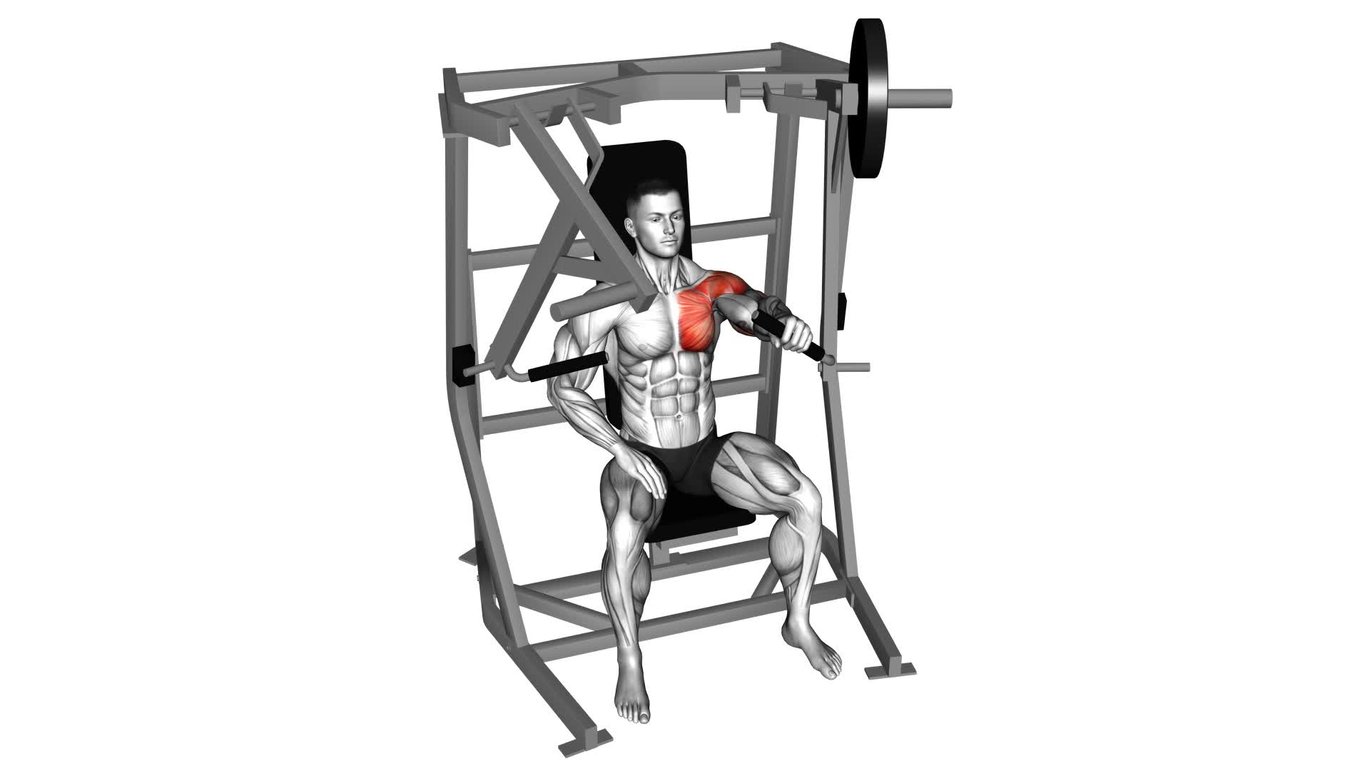 Lever Single Arm Chest Press (Plate Loaded) - Video Exercise Guide & Tips