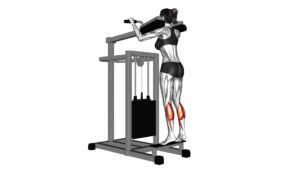 Lever Standing Calf Raise (female) - Video Exercise Guide & Tips