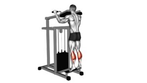 Lever Standing Calf Raise - Video Exercise Guide & Tips