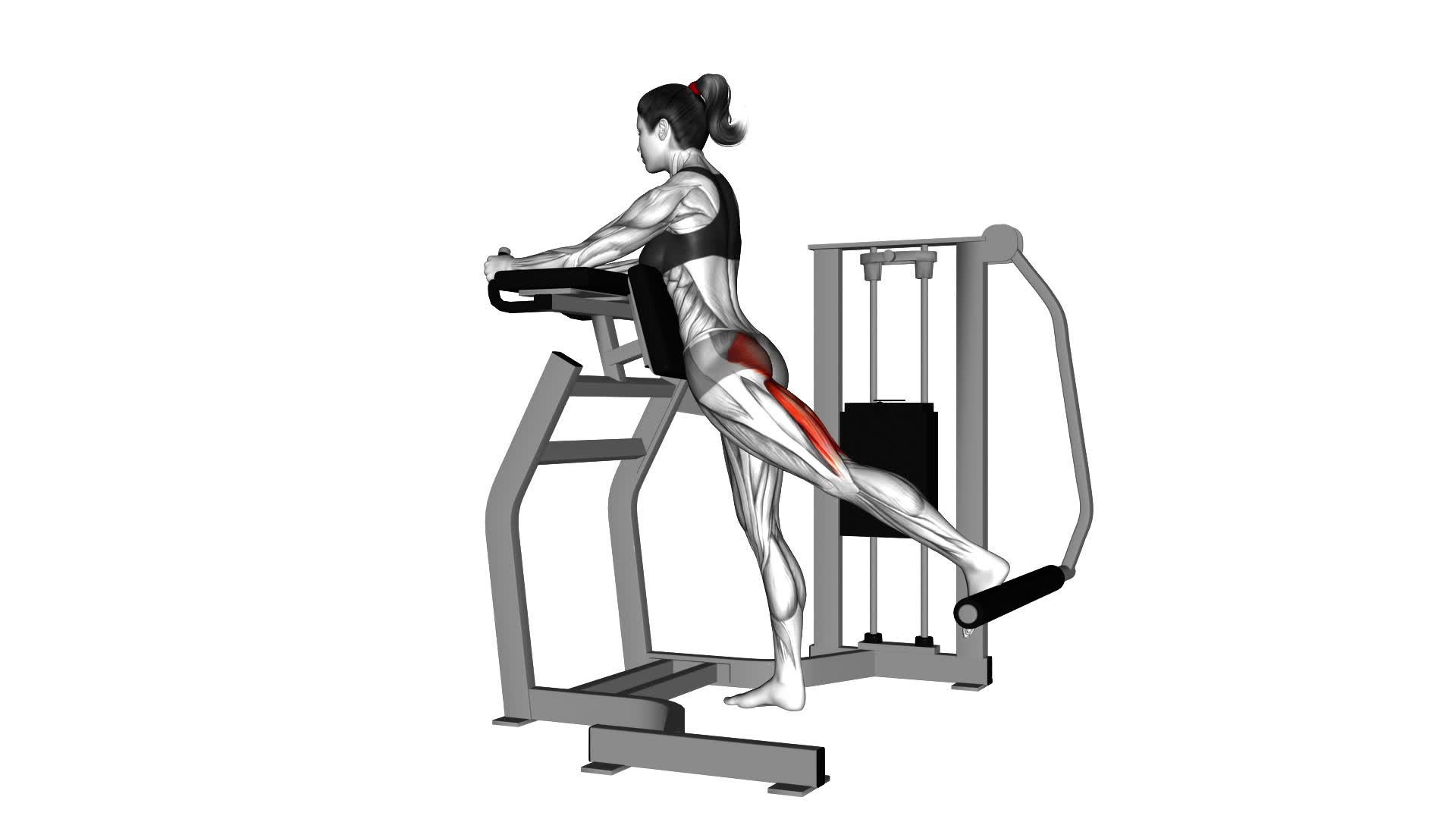 Lever Standing Hip Extension (female) - Video Exercise Guide & Tips