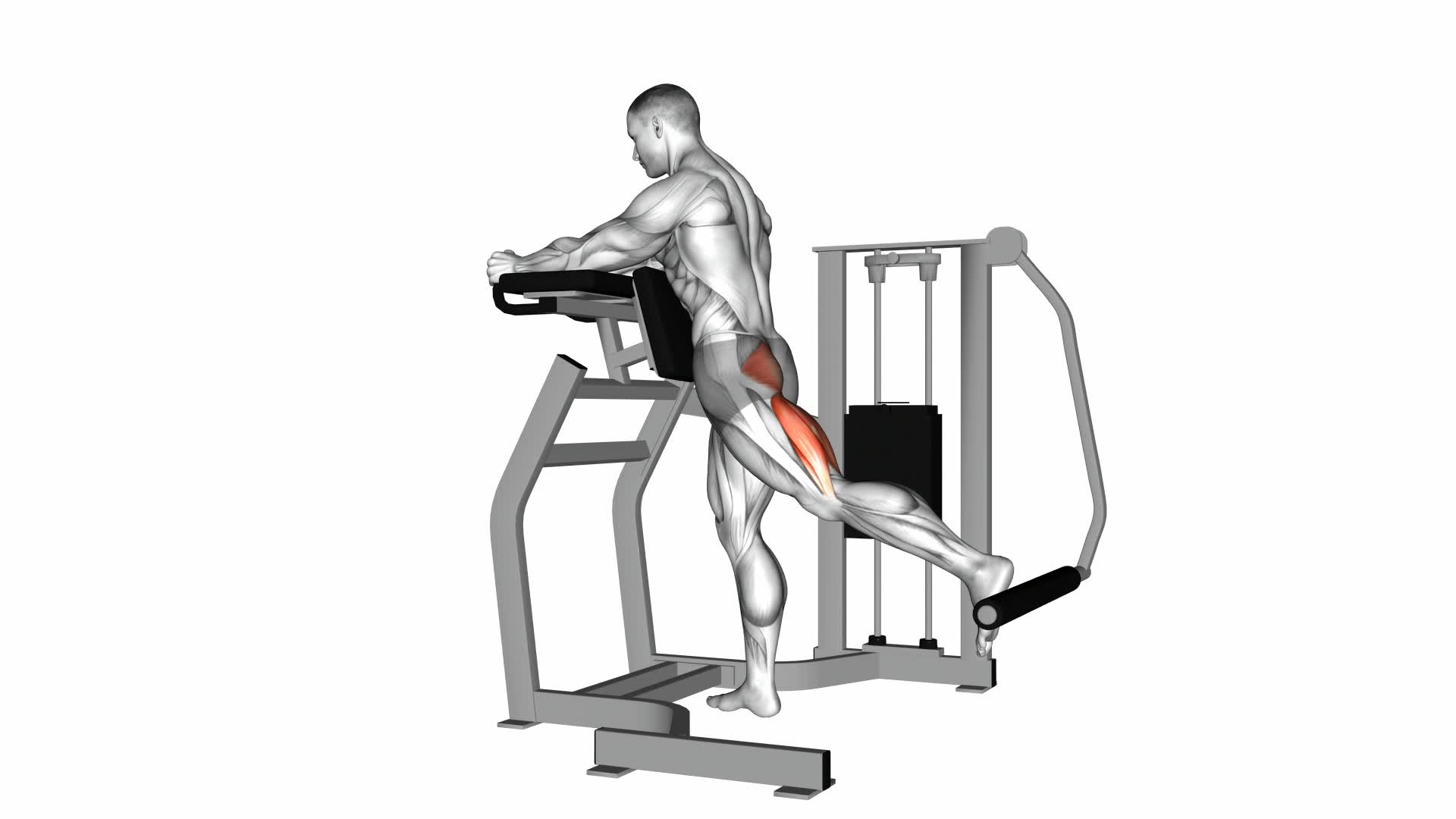 Lever Standing Hip Extension - Video Exercise Guide & Tips