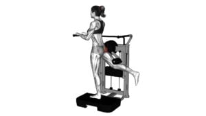 Lever Standing Rear Kick (female) - Video Exercise Guide & Tips