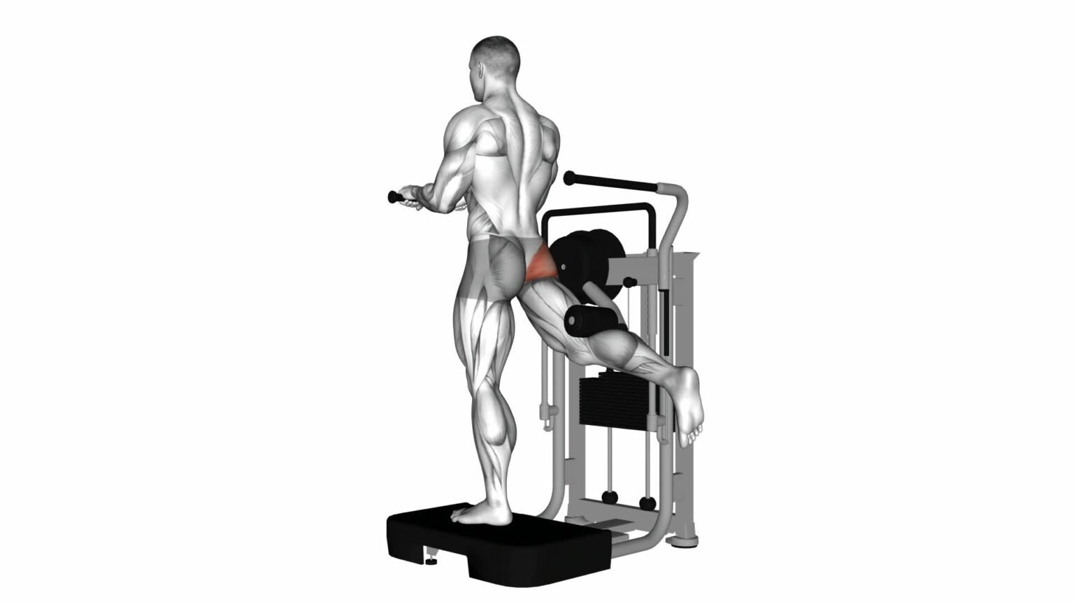 Lever Standing Rear Kick - Exercise Guide & Tips