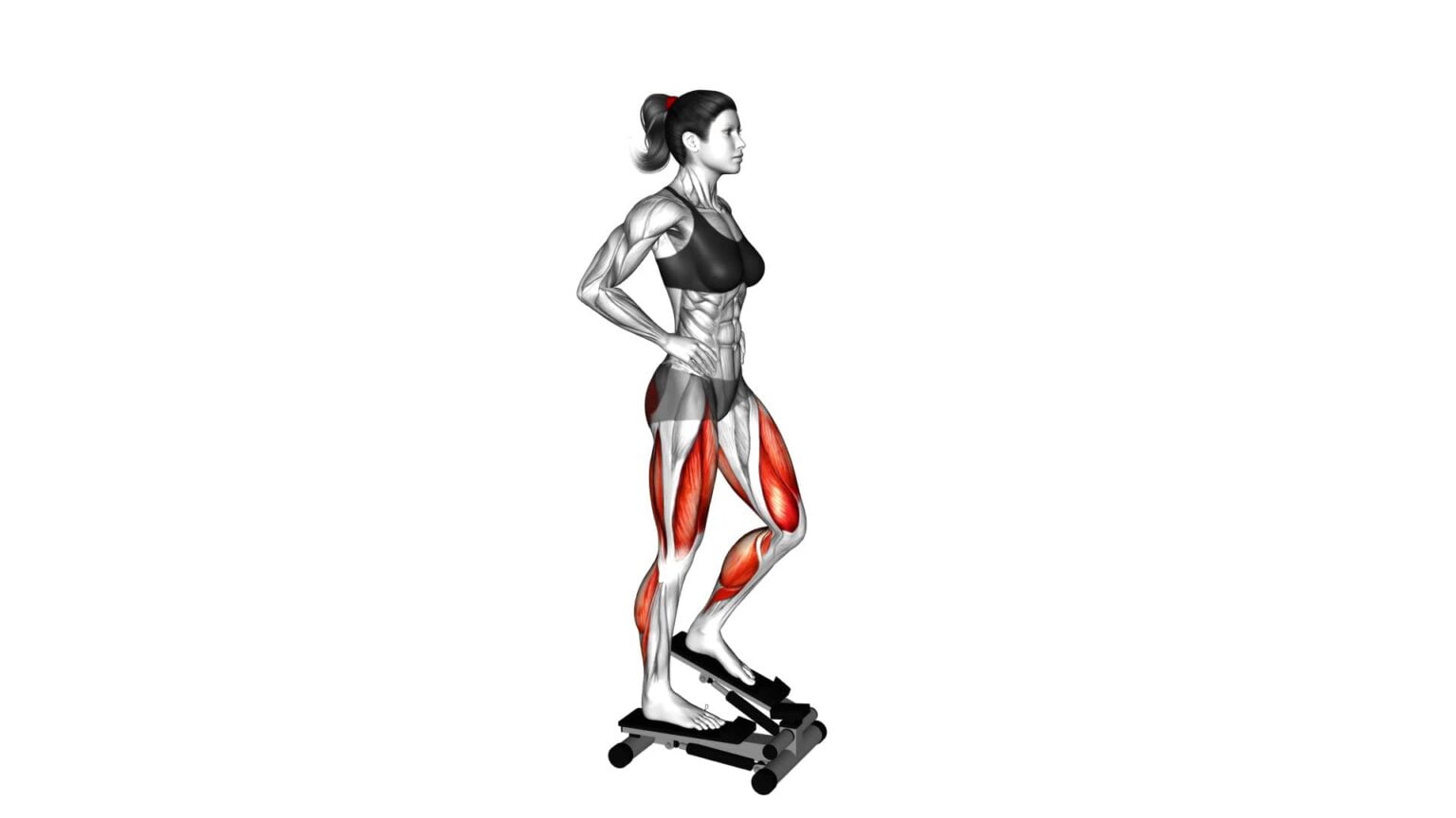 Female Lever Step Video Exercise Guide And Tips For Maximum Impact