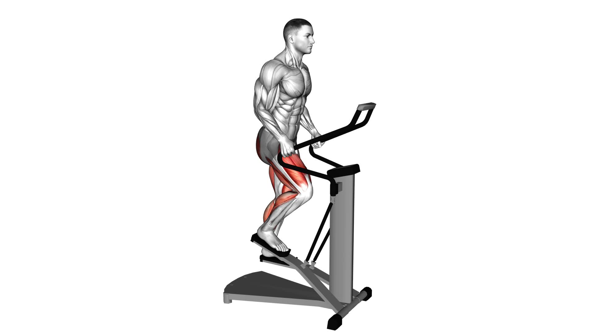 Lever Stepper (male) - Video Exercise Guide & Tips