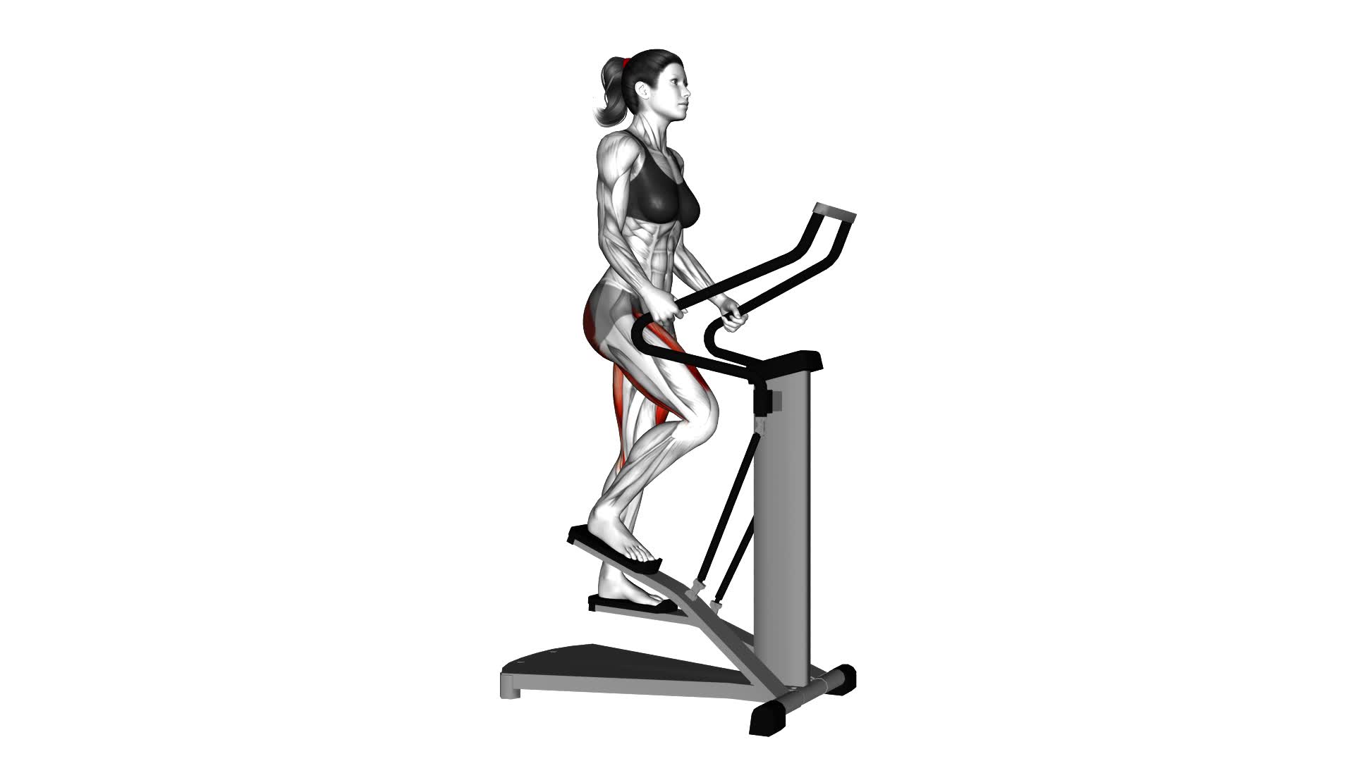 Lever Stepper - Video Exercise Guide & Tips