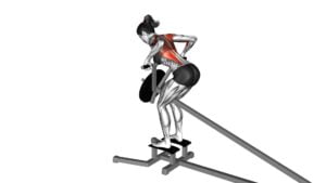 Lever T-Bar Row (Plate Loaded) (Female) - Video Exercise Guide & Tips