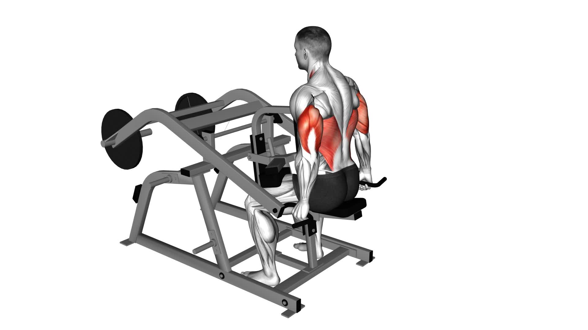 Lever Triceps Dip (Plate Loaded) - Video Exercise Guide & Tips