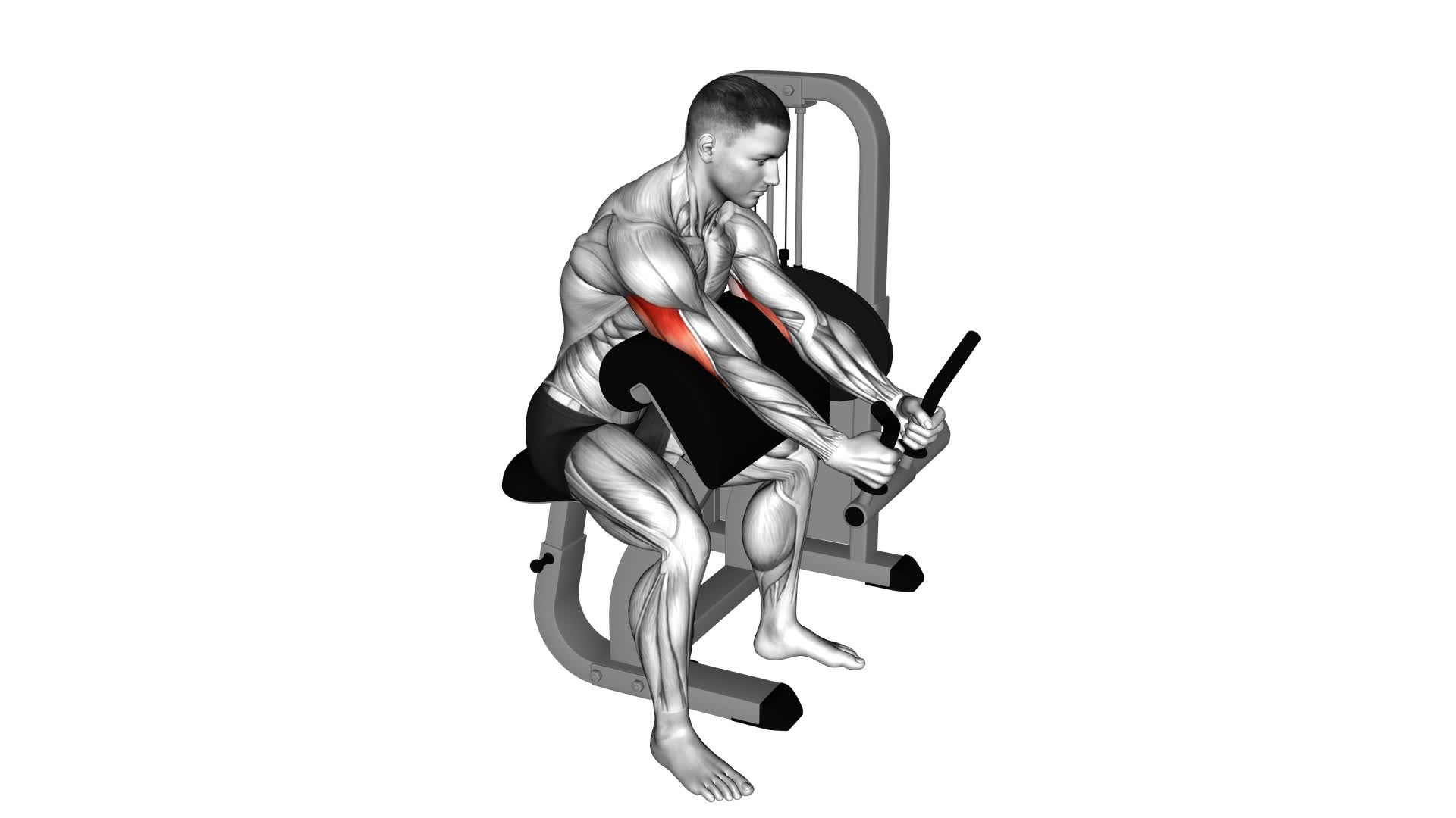 Lever Triceps Extension (VERSION 2) - Video Exercise Guide & Tips
