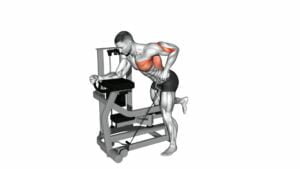 Lever Unilateral Row - Video Exercise Guide & Tips