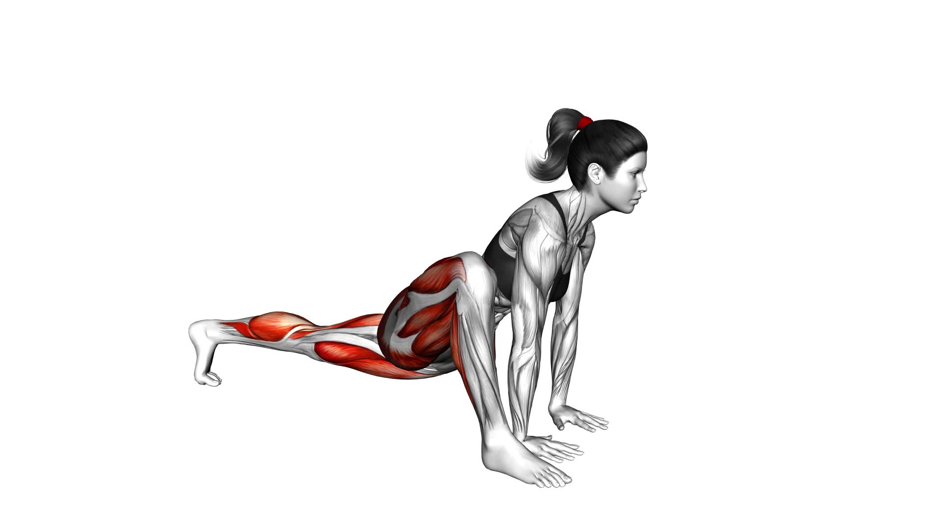 Lizard Pose (VERSION 2) (female) - Video Exercise Guide & Tips