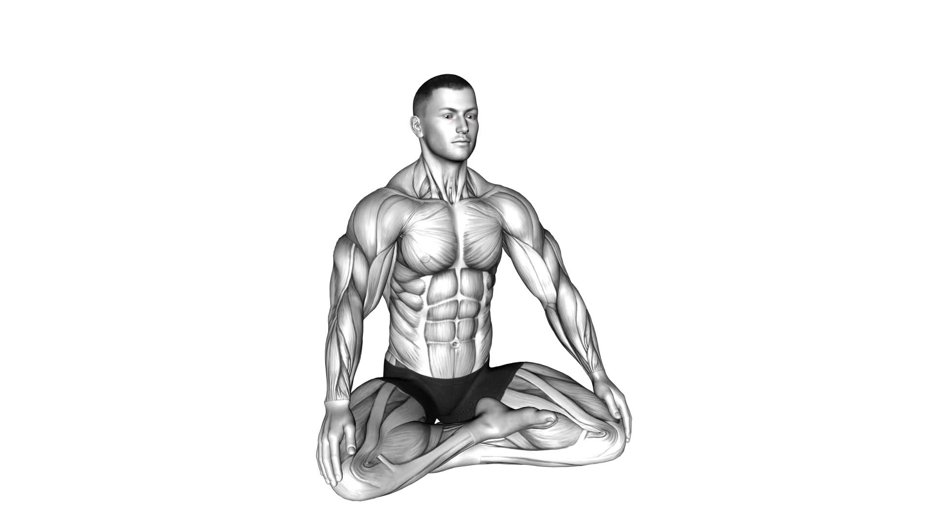 Lotus Pose Breathing (male) - Video Exercise Guide & Tips