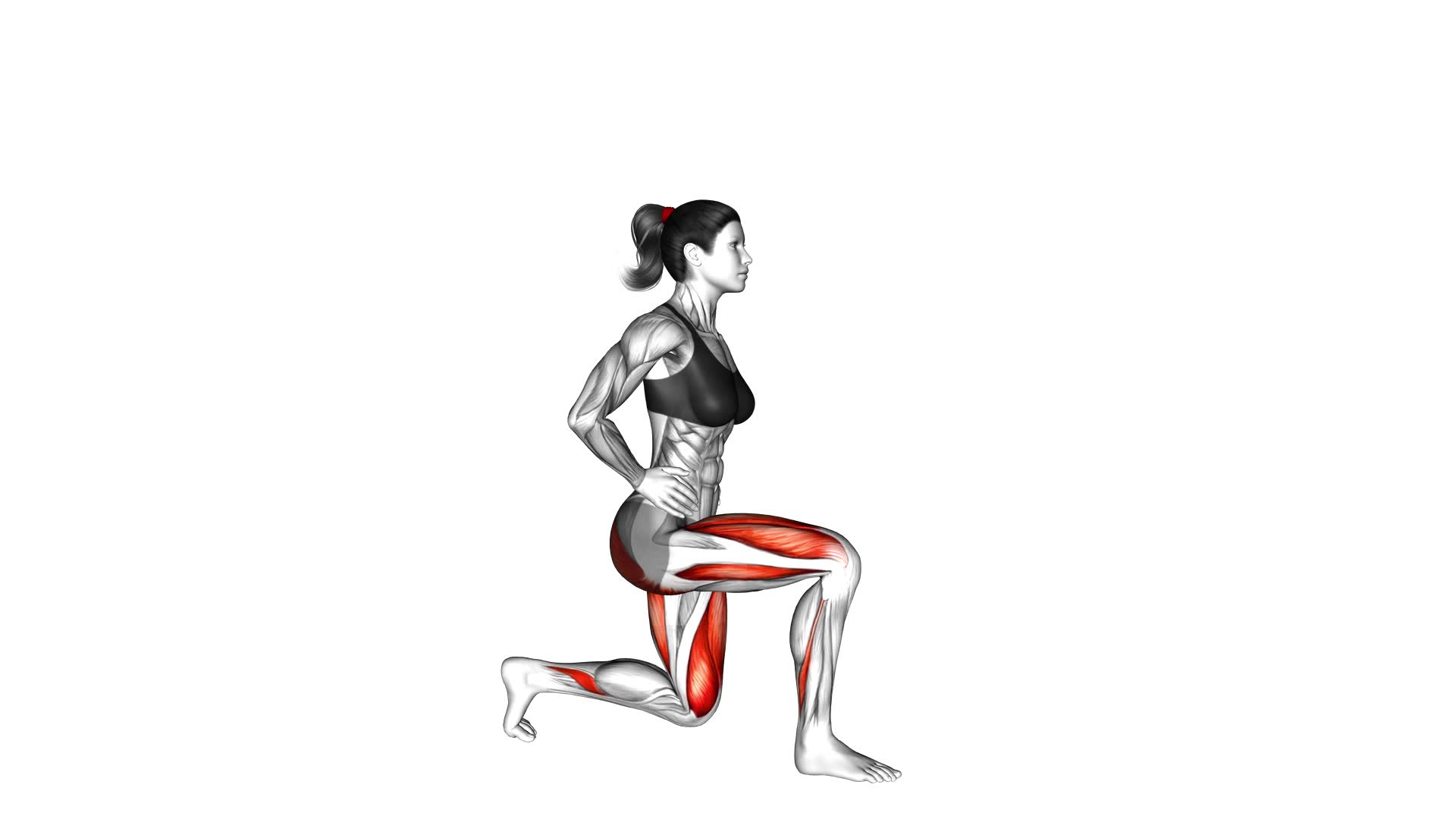 Lunge (female) - Video Exercise Guide & Tips