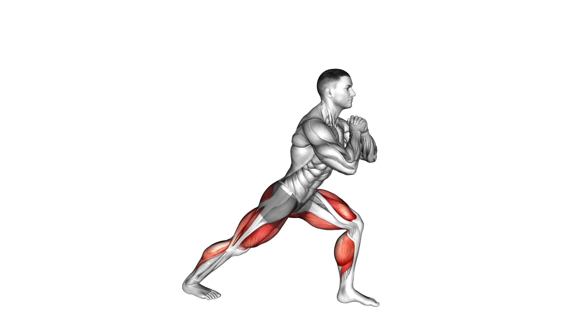 Lunge Stretch (male) - Video Exercise Guide & Tips