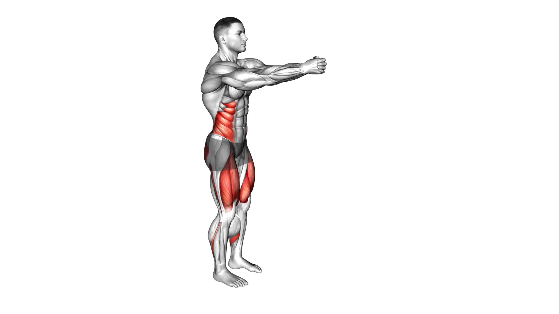 Lunge Twist (male) - Video Exercise Guide & Tips