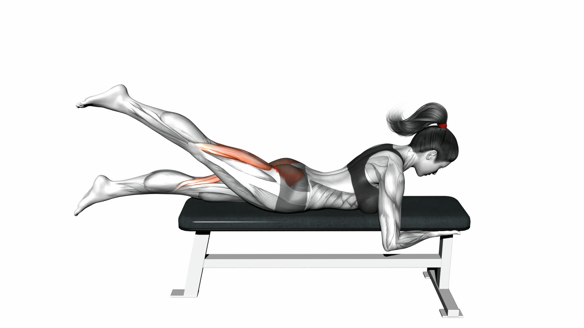 Lying Alternate Hip Extension - Video Exercise Guide & Tips