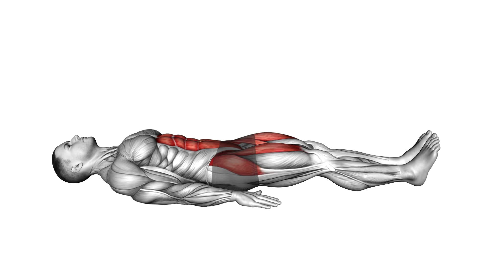 Lying Alternate Leg Extension (male) - Video Exercise Guide & Tips