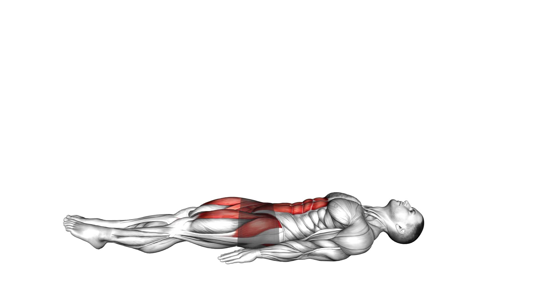 Lying Alternate Straight Leg Circle (male) - Video Exercise Guide & Tips