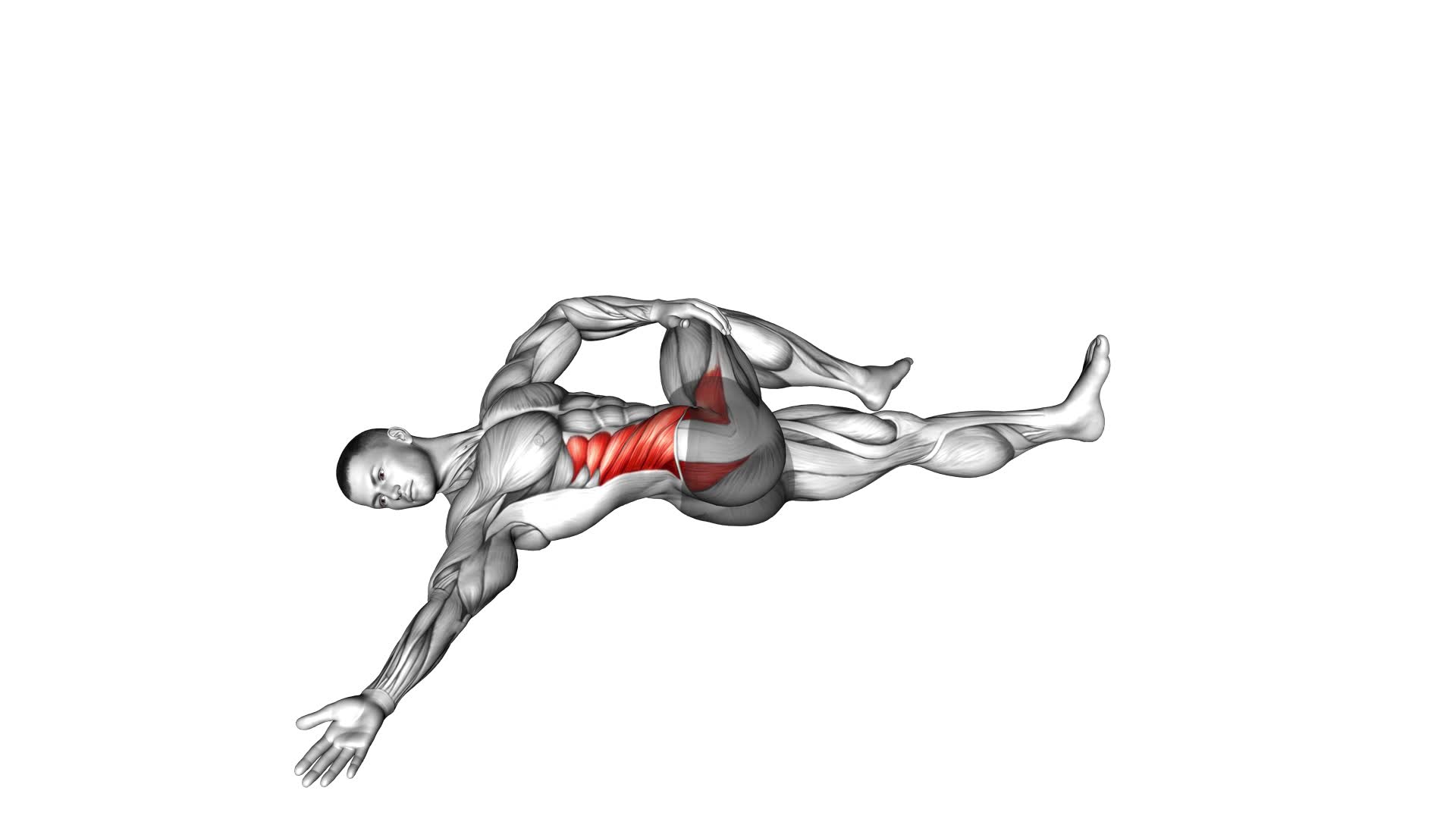 Lying Cross Over Knee Pull Down Stretch - Video Exercise Guide & Tips