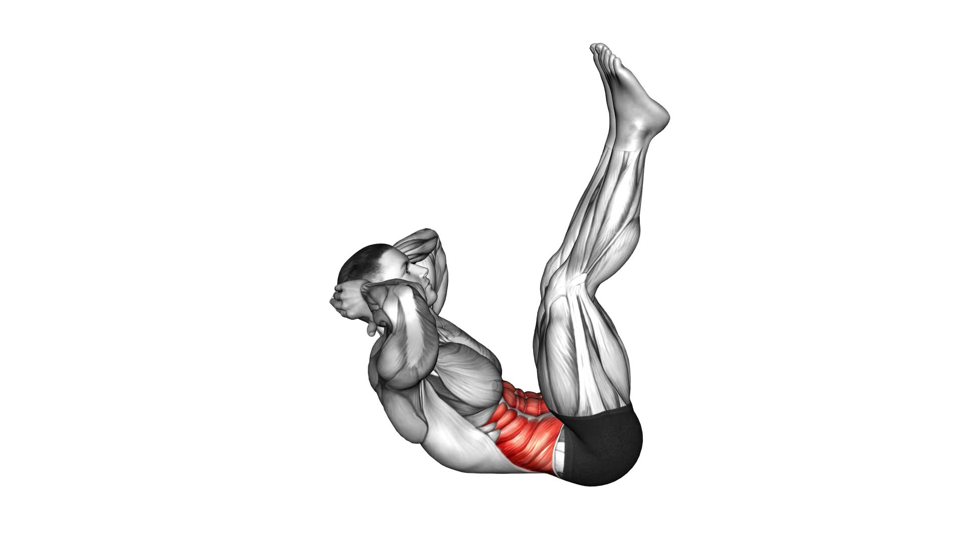 Lying Crunch (Straight Legs) (Male) - Video Exercise Guide & Tips