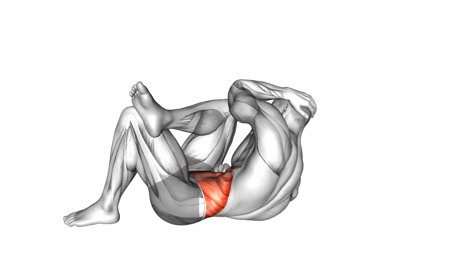 Lying Elbow to Knee - Video Exercise Guide & Tips