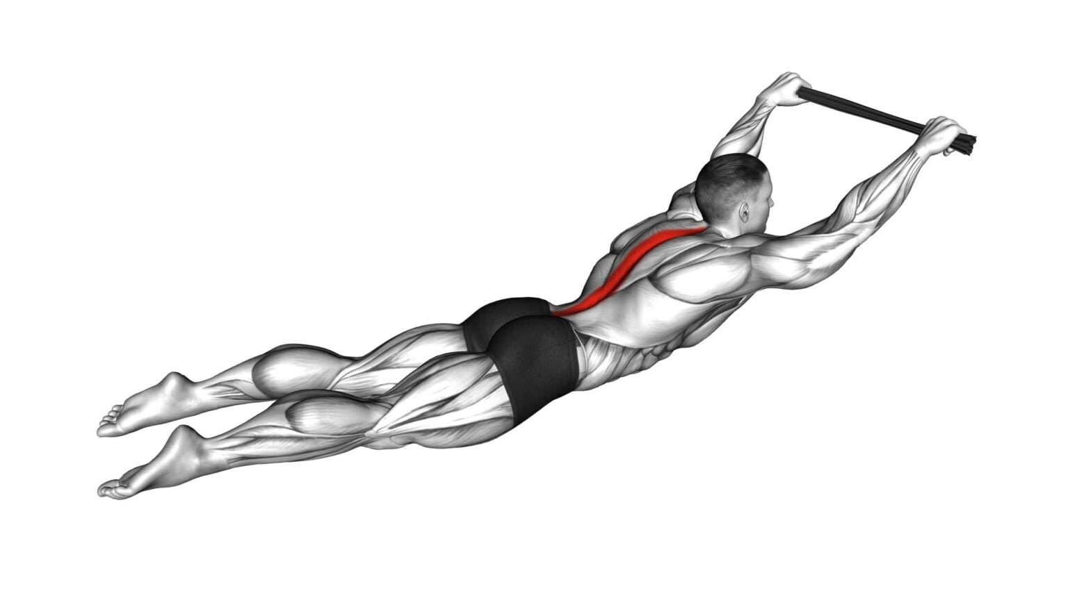 Seated Row: Towel Technique - Video Guide & Tips