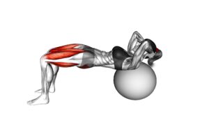 Lying Hip Lift (On Stability Ball) - Video Exercise Guide & Tips