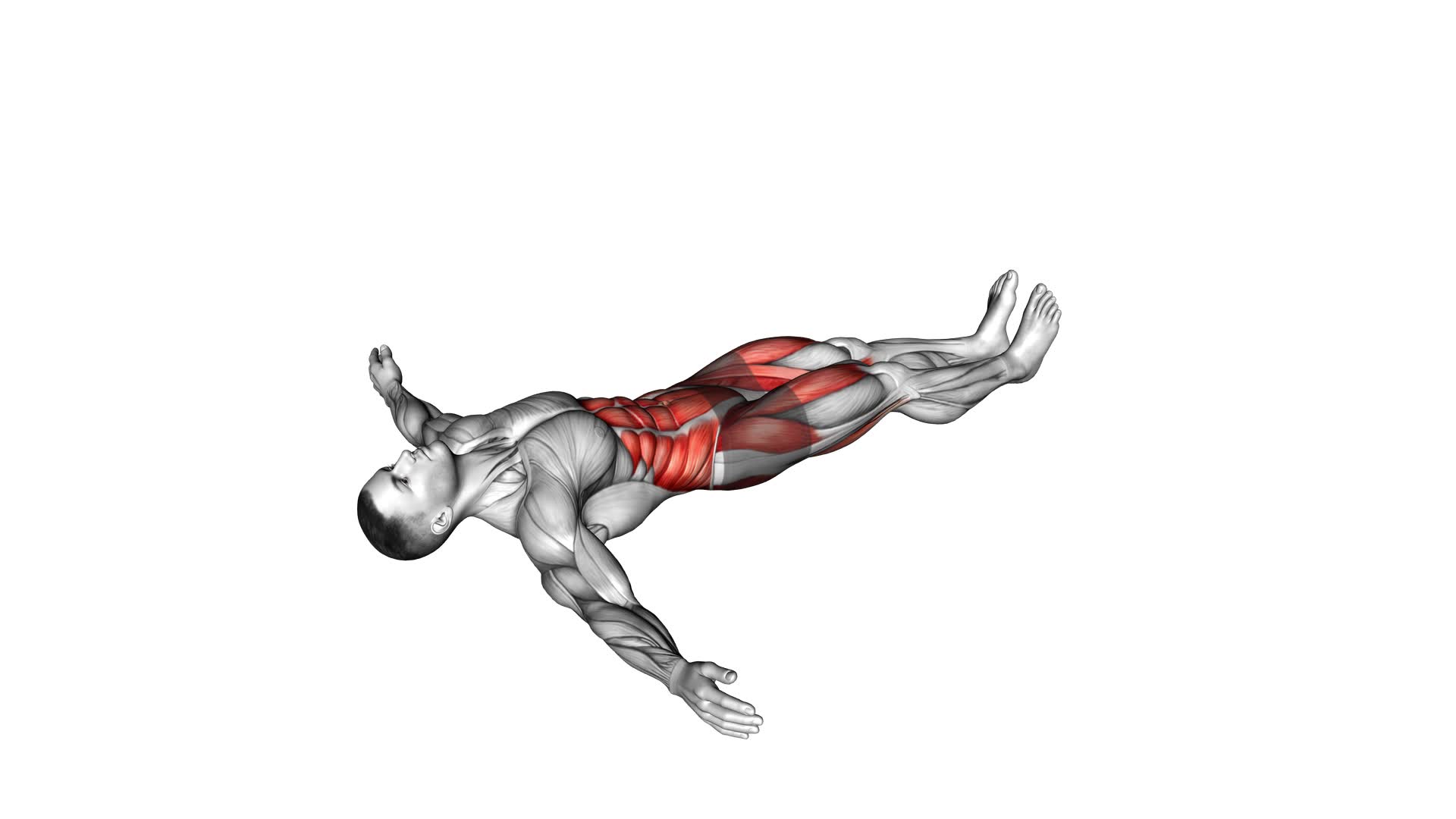 Lying Leg Cross - Video Exercise Guide & Tips