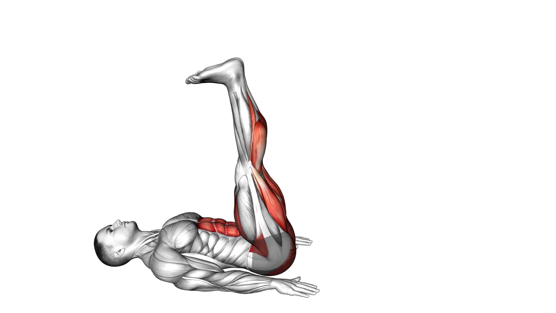 Lying Leg Lift (male) - Video Exercise Guide & Tips