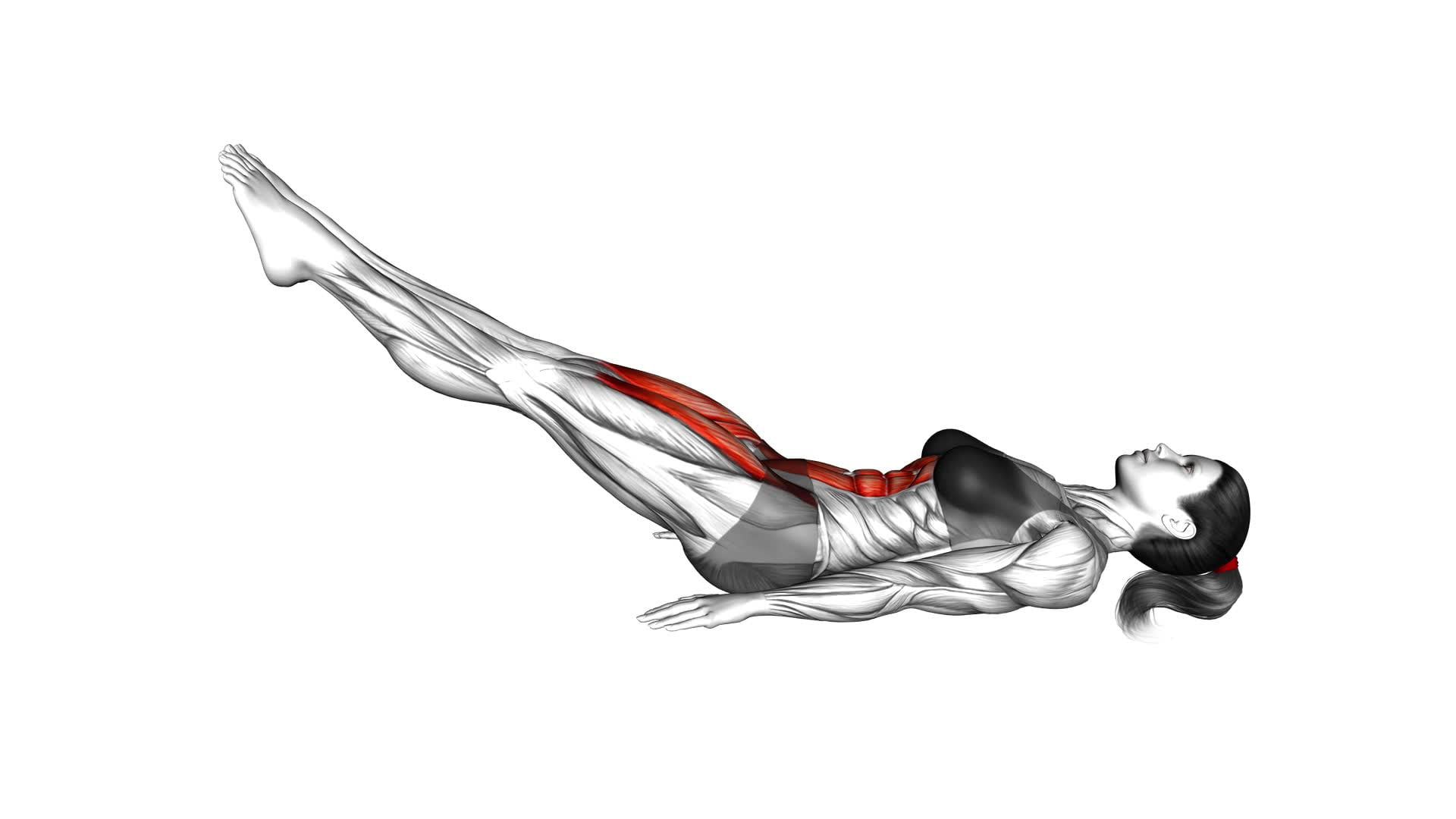 Lying Leg Raise and Hold (female) - Video Exercise Guide & Tips