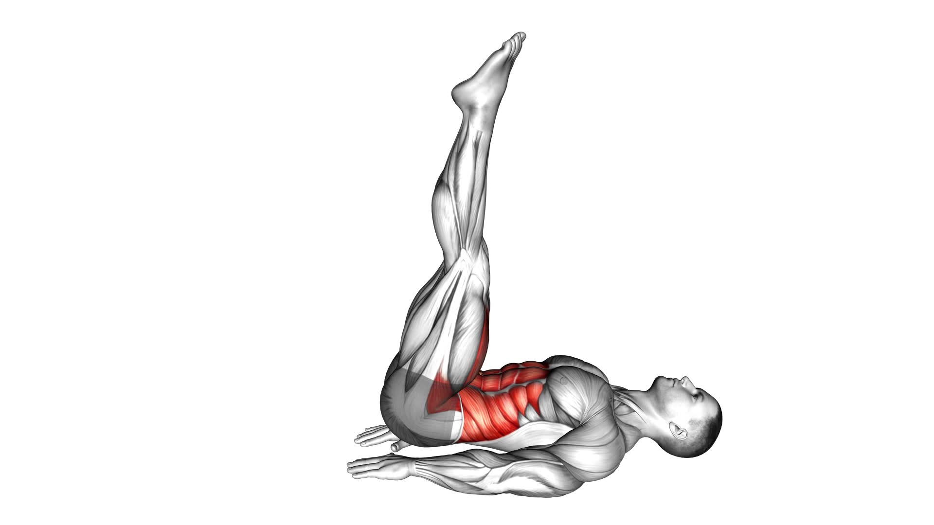 Lying Leg Raise - Video Exercise Guide & Tips