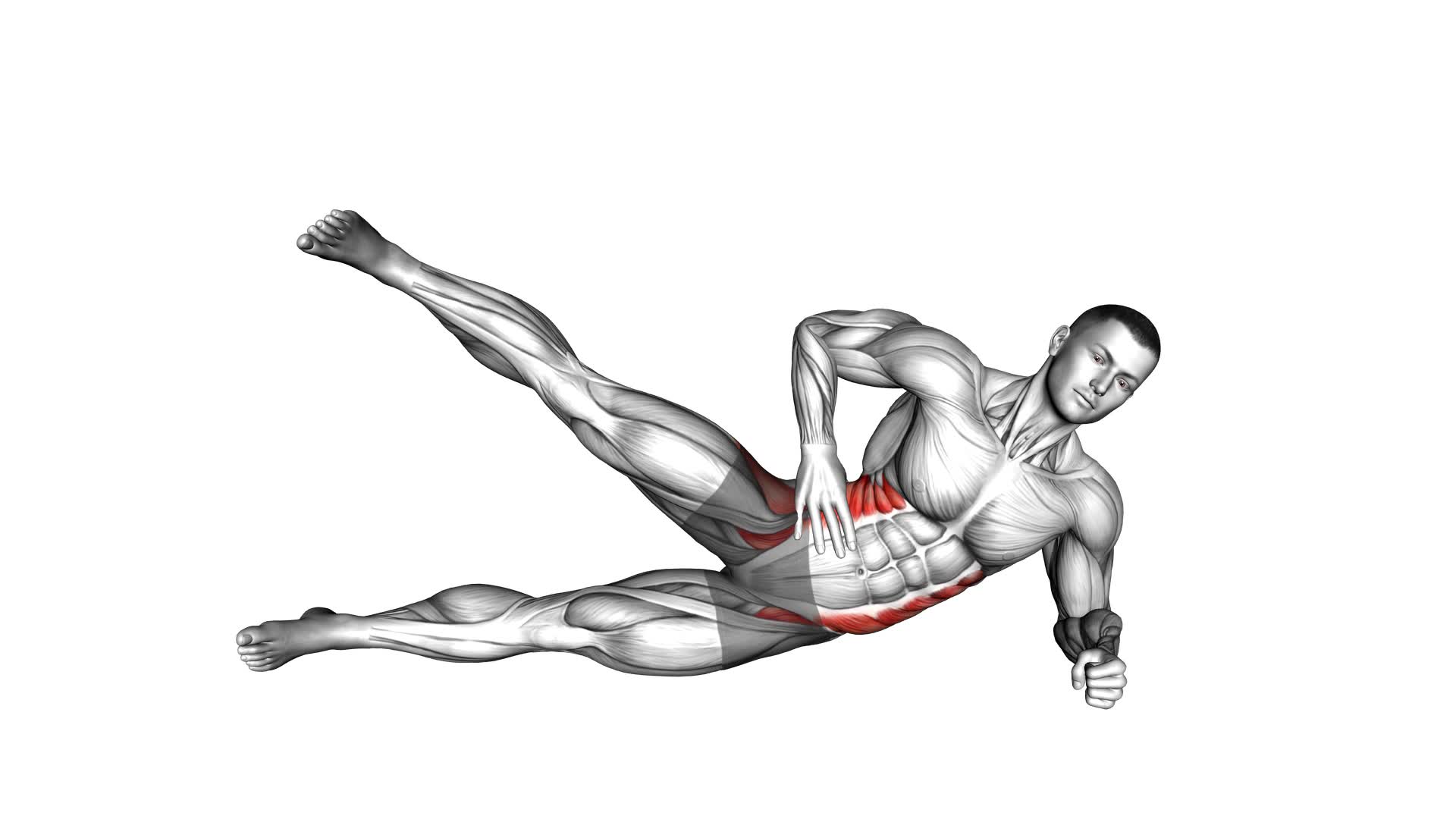 Lying Obliques Scissors (male) - Video Exercise Guide & Tips