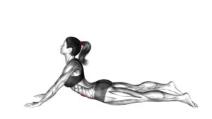 Lying (prone) Abdominal Stretch (female) - Video Exercise Guide & Tips
