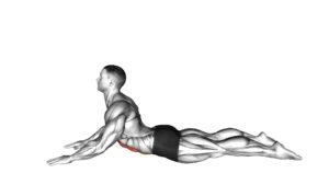 Lying (prone) Abdominal Stretch (male) - Video Exercise Guide & Tips