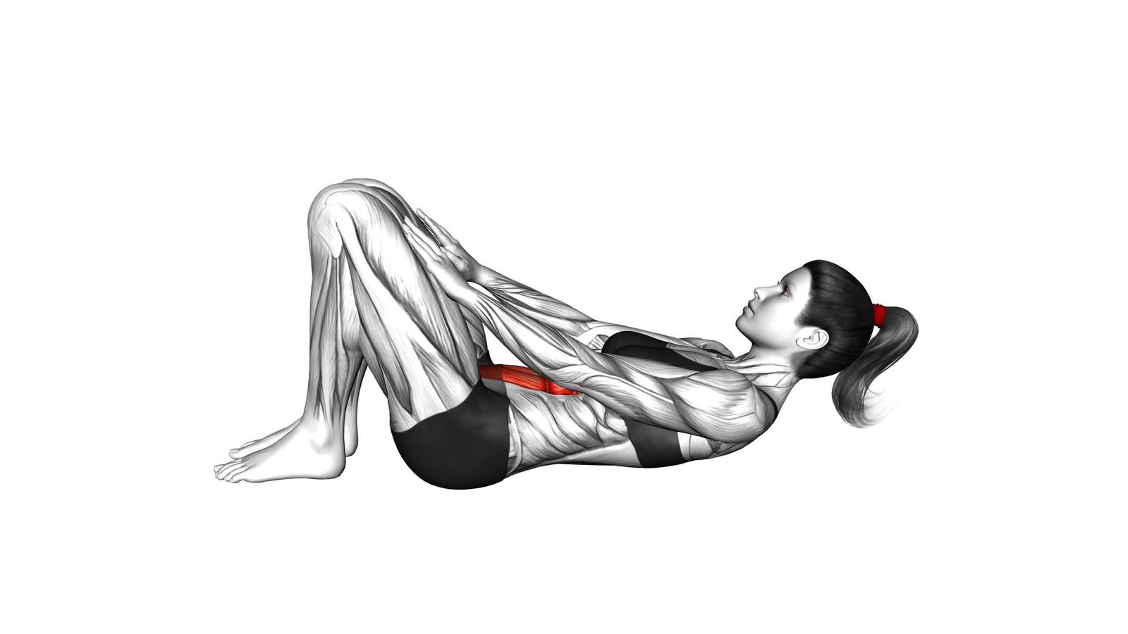 Lying Rectus Abdominis Activation Crunch (female) - Video Exercise Guide & Tips