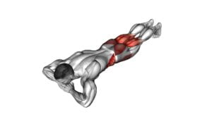 Lying Spiderman Crawl (male) - Video Exercise Guide & Tips