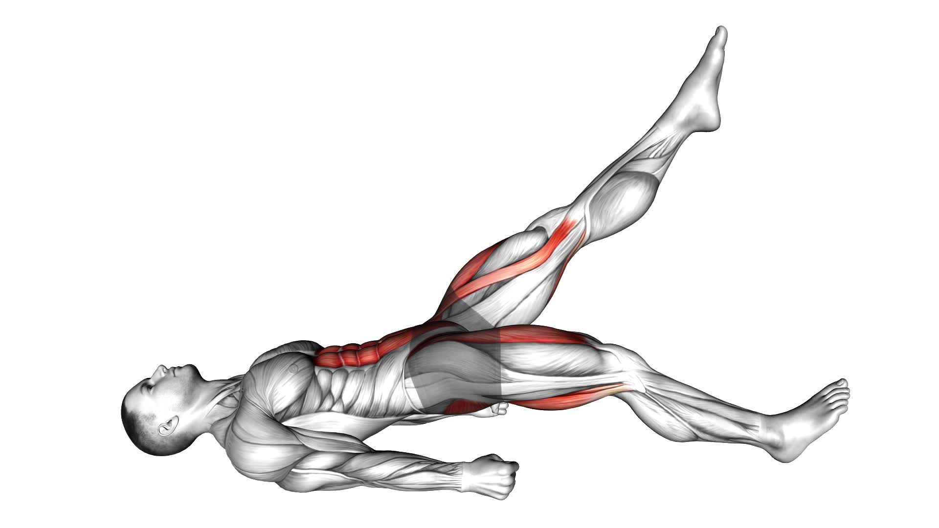 Lying Straight Leg Marches - Video Exercise Guide & Tips