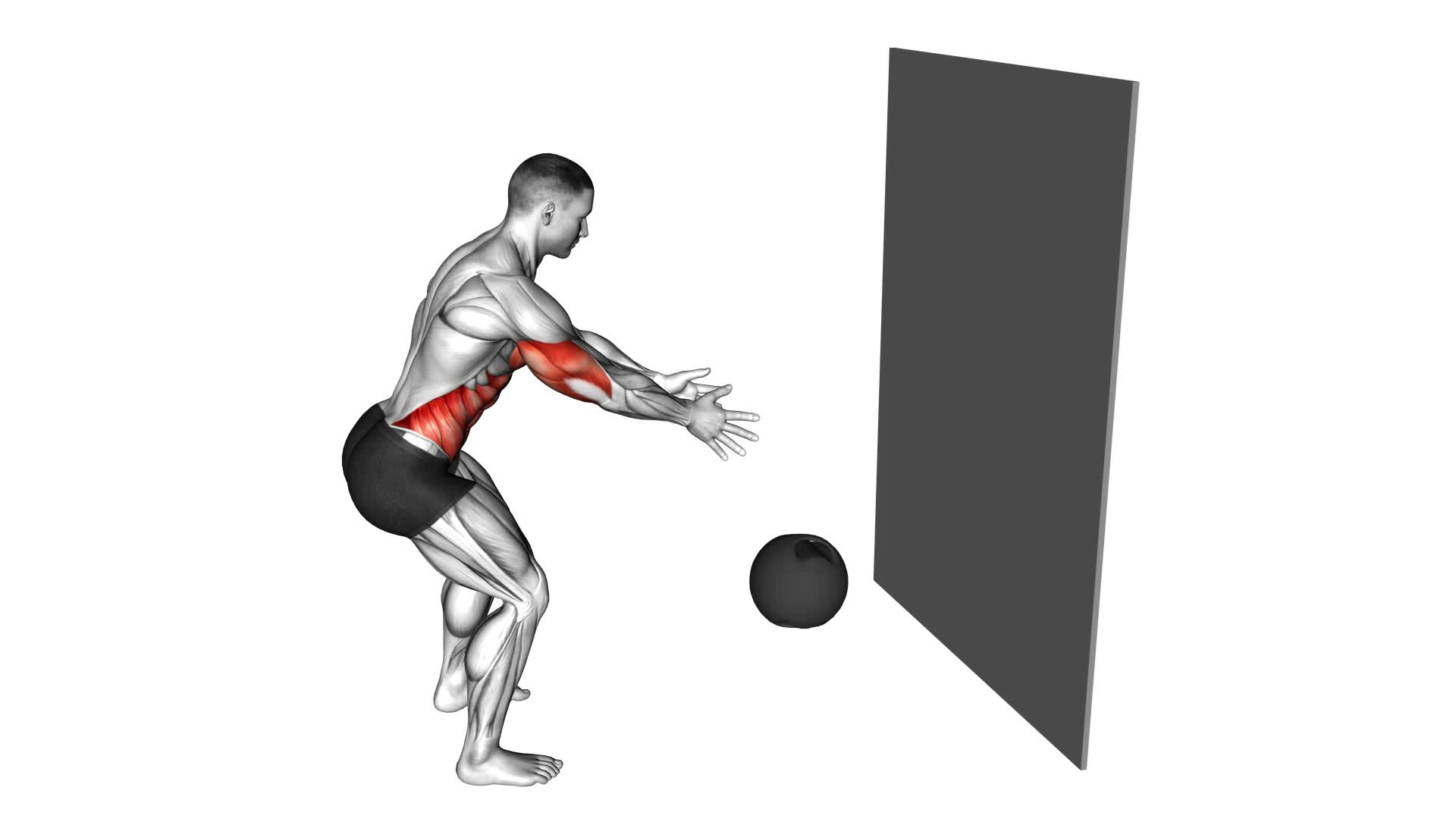 Medicine Ball Chest Pass Against Wall - Video Exercise Guide & Tips