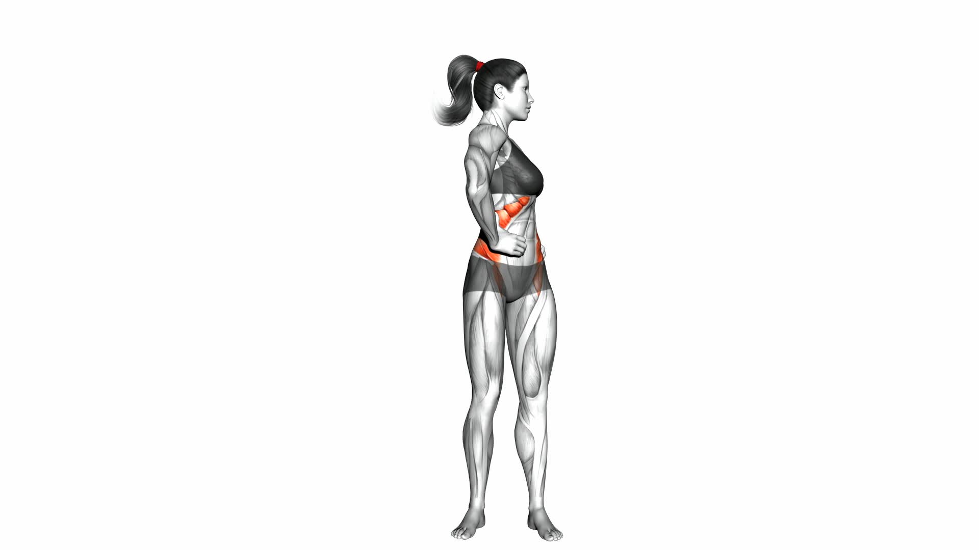 Middle Back Stretch - Video Exercise Guide & Tips