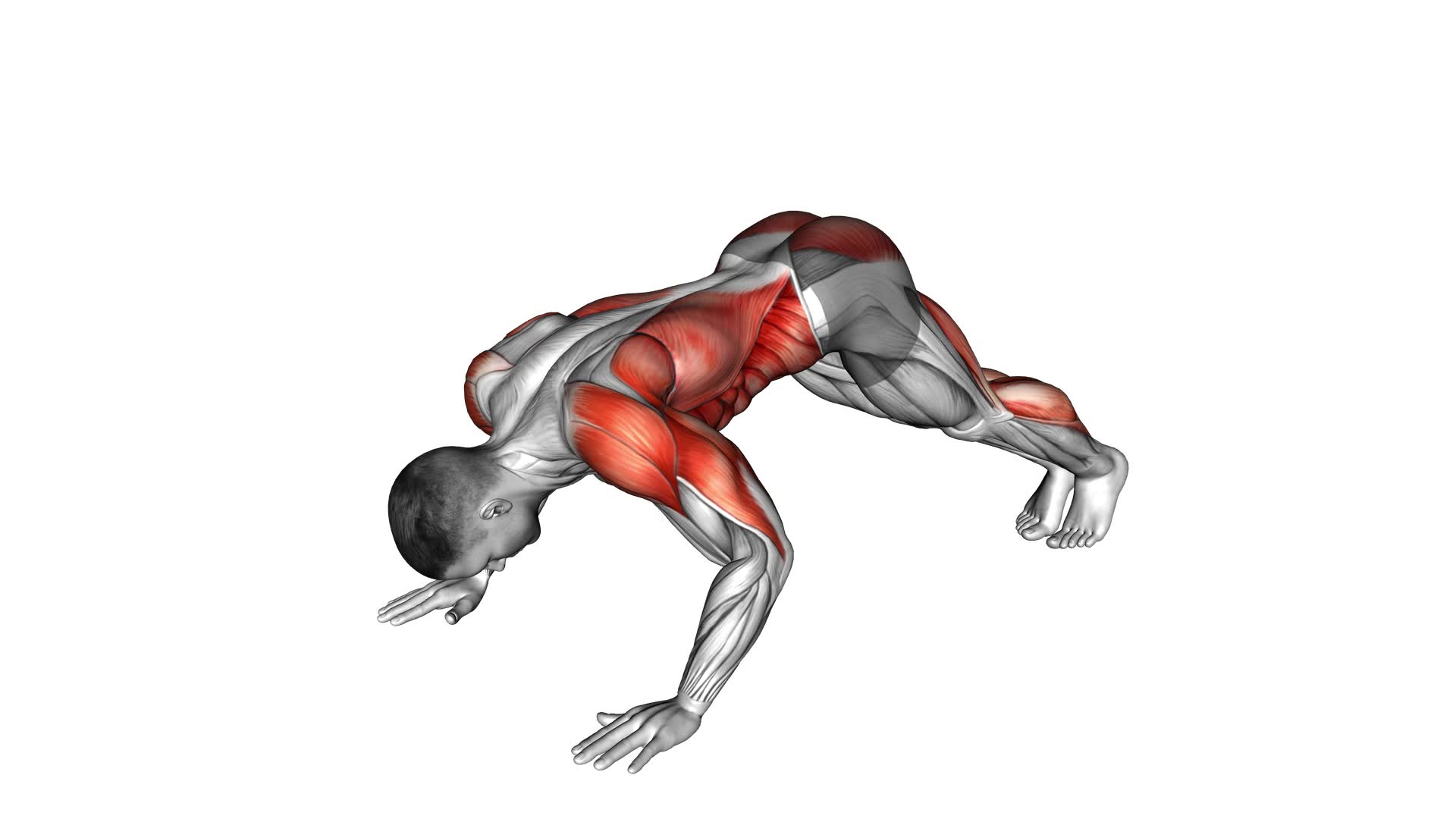 Modified Hindu Push-up (male) - Video Exercise Guide & Tips
