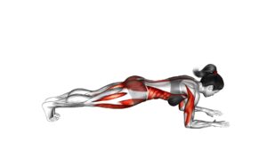 Mountain Climber and Dynamic Plank (female) - Video Exercise Guide & Tips
