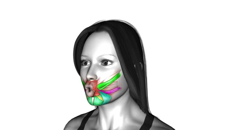 Mouth Two Fpov (Female) - Video Exercise Guide & Tips