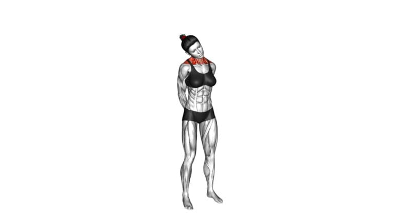 Neck Circle Stretch (female) - Video Exercise Guide & Tips