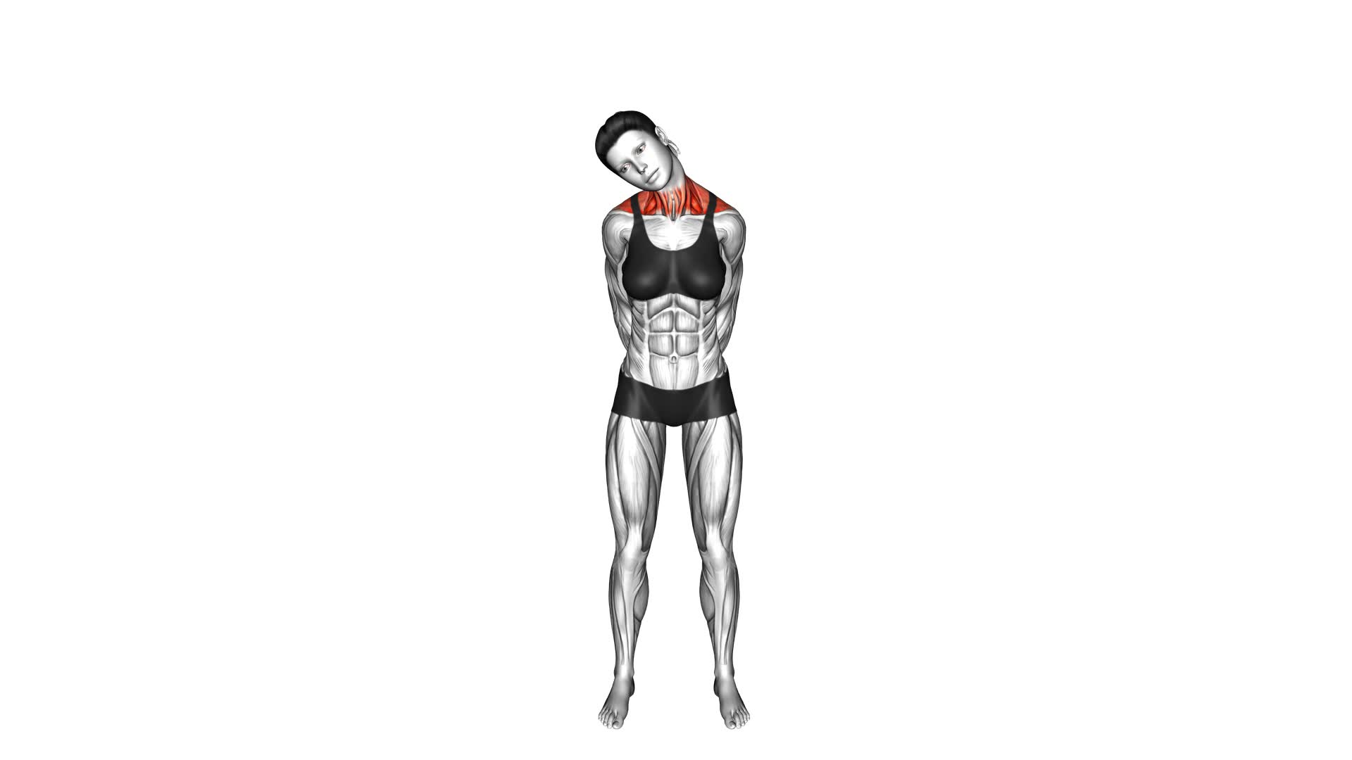 Neck Half Circle (female) - Video Exercise Guide & Tips