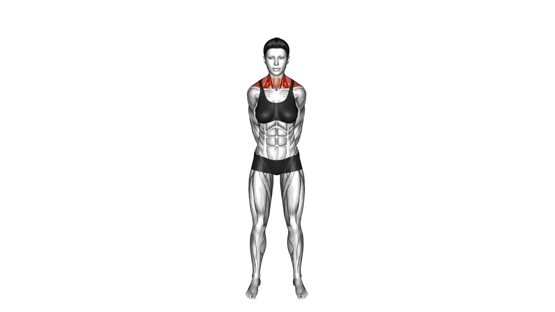 Neck-up Down Left Right (female) - Video Exercise Guide & Tips