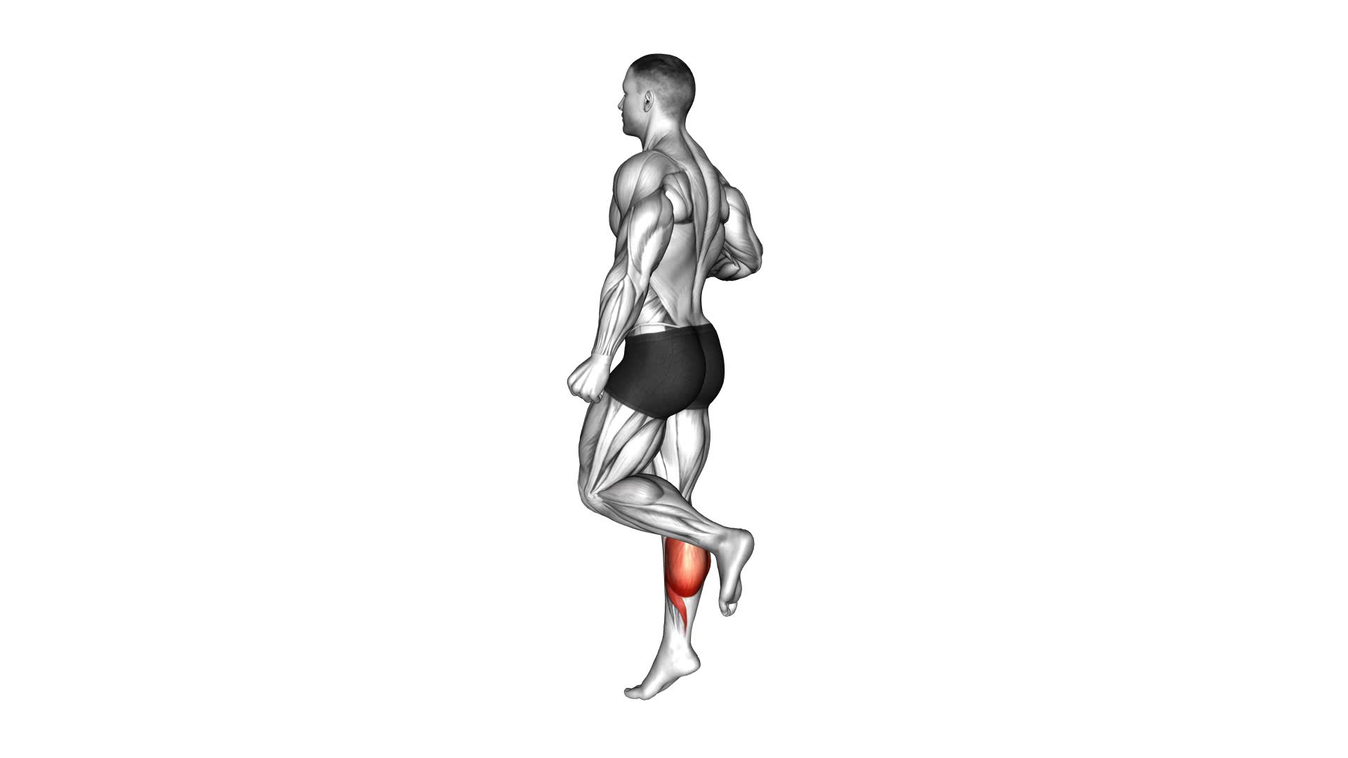 One Leg Floor Calf Raise - Video Exercise Guide & Tips